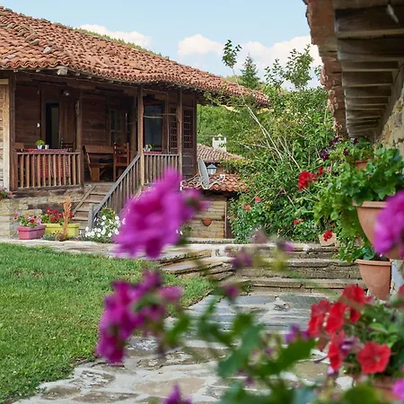 хаджи вълчевия 제라브나