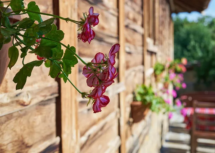 Penzion хаджи вълчевия Žeravna